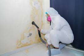 Biohazard Mold Removal in Olney, MD